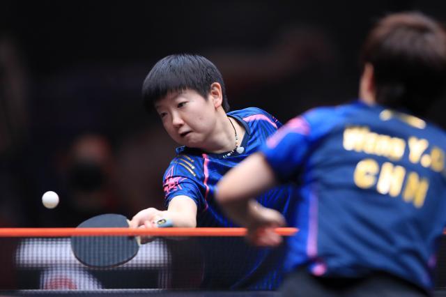 乐鱼官方入口-王楚钦再胜马龙 迎来与张本智和的“复仇之战”